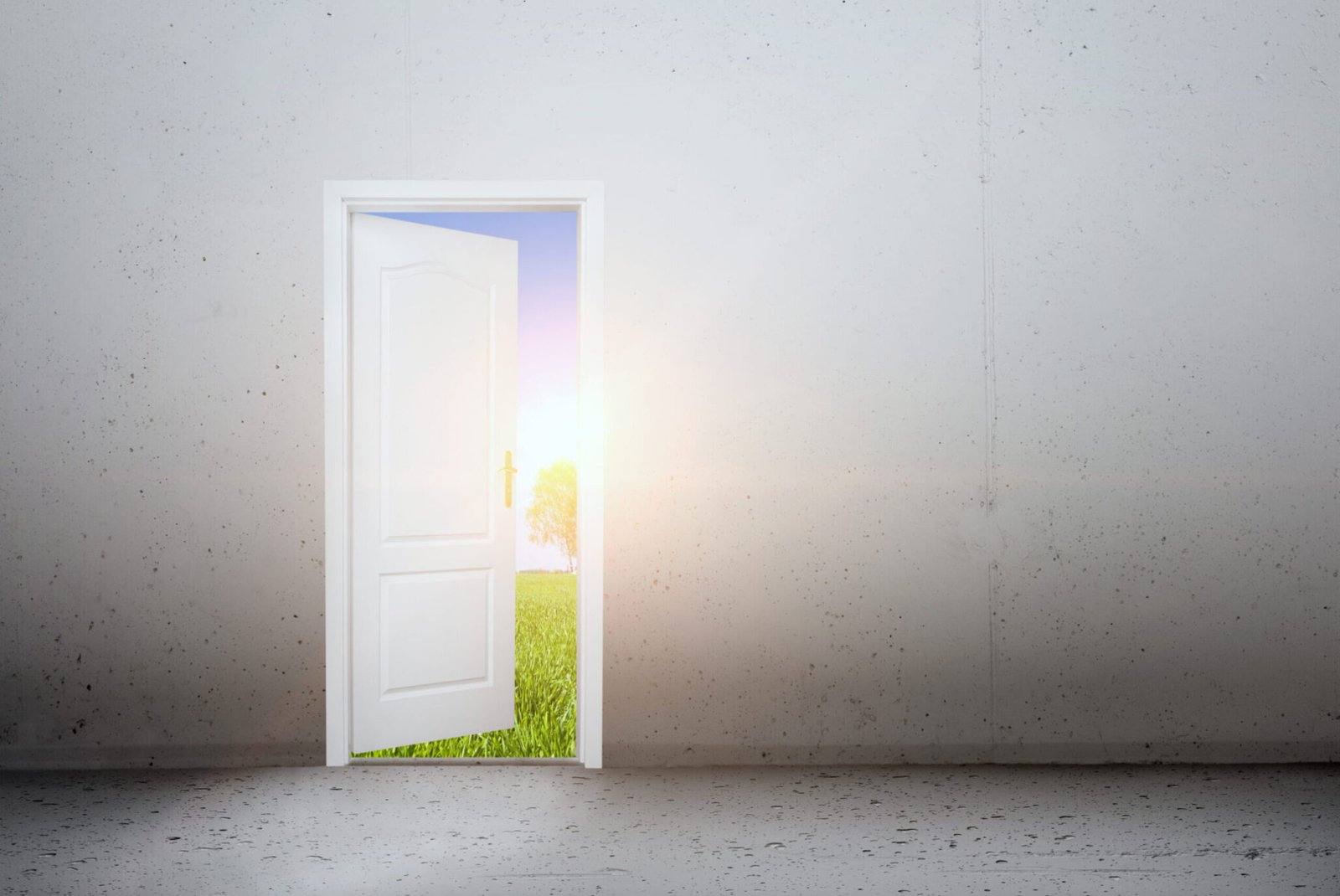 open door to a new world, the green summer landscape. conceptual